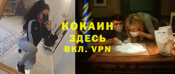твердый Снежногорск