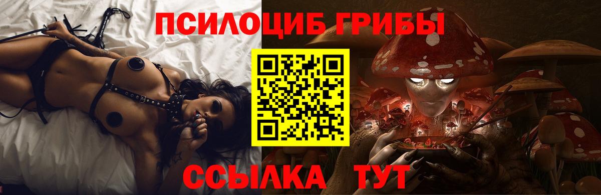 Мариинск  Галлюциногенные грибы ЛСД  Псилоцибиновые грибы Cubensis  Вход с VPN 